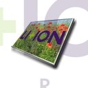 LCD Screen AUO 15.6" WXGA HD 1366x768 - B156XTN07.0         